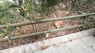 Sonny the cat is so happy every time he sees us.