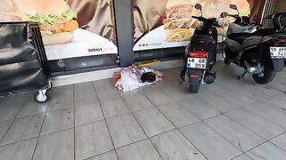 A tortoiseshell cat, which licks as if to say, Im hungry, doesnt like to be touched.