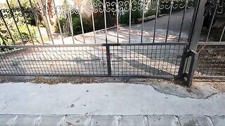 A very cute cat with a meow that sounds like a door creaking