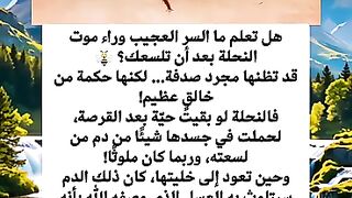 سبحان الله العظيم
