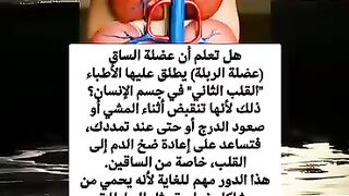 عضلة الساق وعضلة القلب
