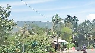 the view is very nice