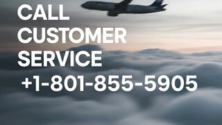 american airlines customer service