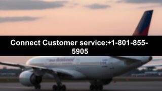 quick american airlines customer service