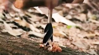 Drill Machine