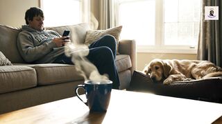 The state of america