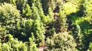 The most mysterious tribe in the Amazon