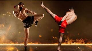 Roundhouse Kick (Te Chiang  Round Kick)