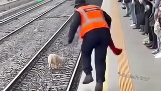 Heroic Officer Stops Train to Save a Helpless Puppy