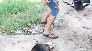 bothering a dog gets you hurt instead comedysketch