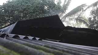 raw video for cool cinematic