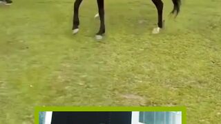 Horse Rider  گھڑ سواری