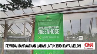 Young People Utilize Land for Melon Cultivation