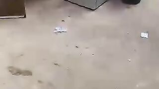 Orphans thrown out of their late fathers house by uncle