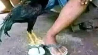 Ela tenta o importante é isso