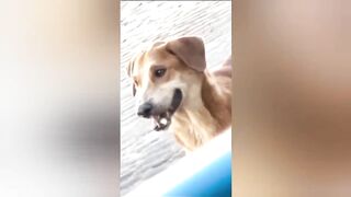 Crazy  Funniest videos ever in the world Best funny memes 2025  Top 100 1
