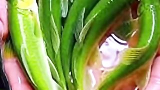 মছর মছর ভইরল ভডও