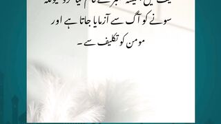hazrat ali hazratali muhammadislam islamicname poetry quotes