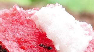 Black ants