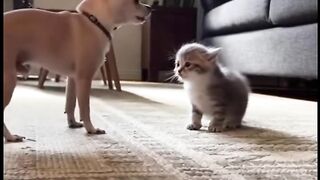 Take that little one