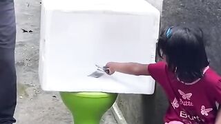Best viral funny videos