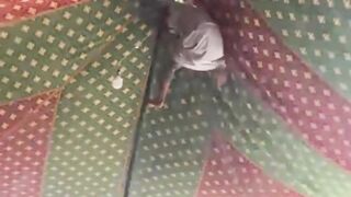 Funny video Very, very funny