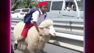 Kaborrr. Aku ingin pulang sampai