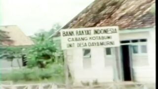 Cuplikan desa Dayamurni (Lampung)