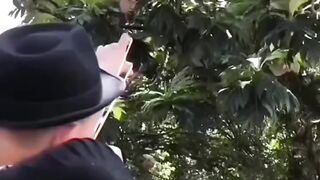 Bidikan sangat tepat.