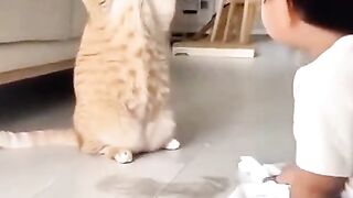 Cat Lover