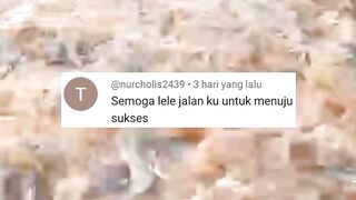MOTIVASI untuk PEMULADengan usaha budidaya LELE apakah kita bisa SUKSES