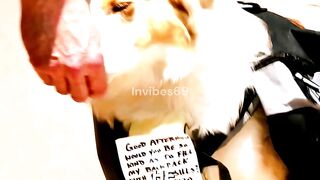 Dog Outsmarts Entire Bank Staff!