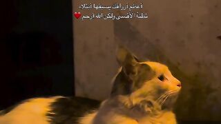 explorepage تركيا اكسبلور السعودية.m