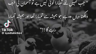 Hazrat Ali Razi Allah