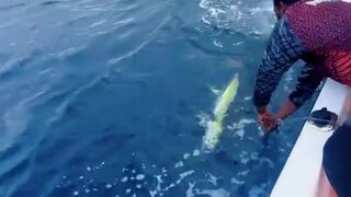 INSANE Ocean Strike! The Moment the Big Fish Hits the Surface!