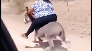 Its Not the Donkey Thats Weak Im Just Over the Limit