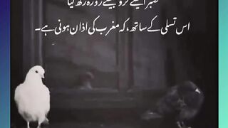 Shariat Ke Masail Seekhain