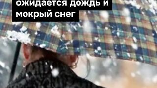 ПОЙНТ МОЛДОВА