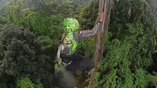 Tarzan the honey hunter