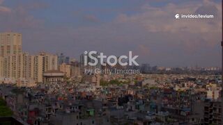 Levium Reviews  Fast-Acting Support for Anxiety  Daily Balance