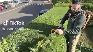 la video du minotaure dAsterion ici