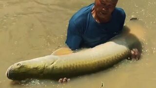 Catching a Giant River Monster! Mega Fish Fight!