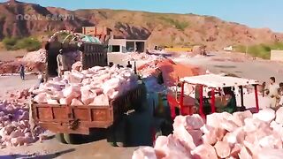 Himalayan Pink Salt