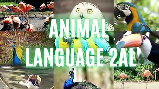 Incredible Avian Diversity