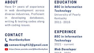 MODERN PROFESSIONAL RESUME PART 1