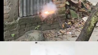 Best funny reels video