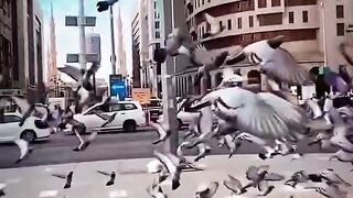 Main Hajj bhi Karun main Umra bhi Karu ameen