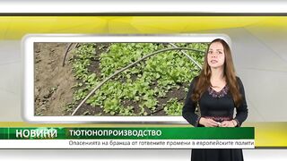 ТЮТЮНОПРОИЗВОДТСТВОТО - ОПАСЕНИЯТА НА БРАНША