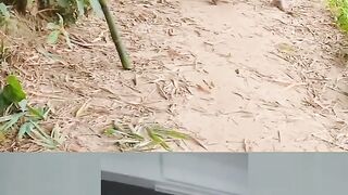 Best new funny reels video