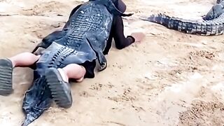 Land crocodile behavior